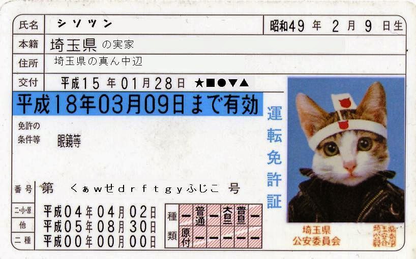 Yusuke Japan Blog Each Japanese driver’s license has a color which you